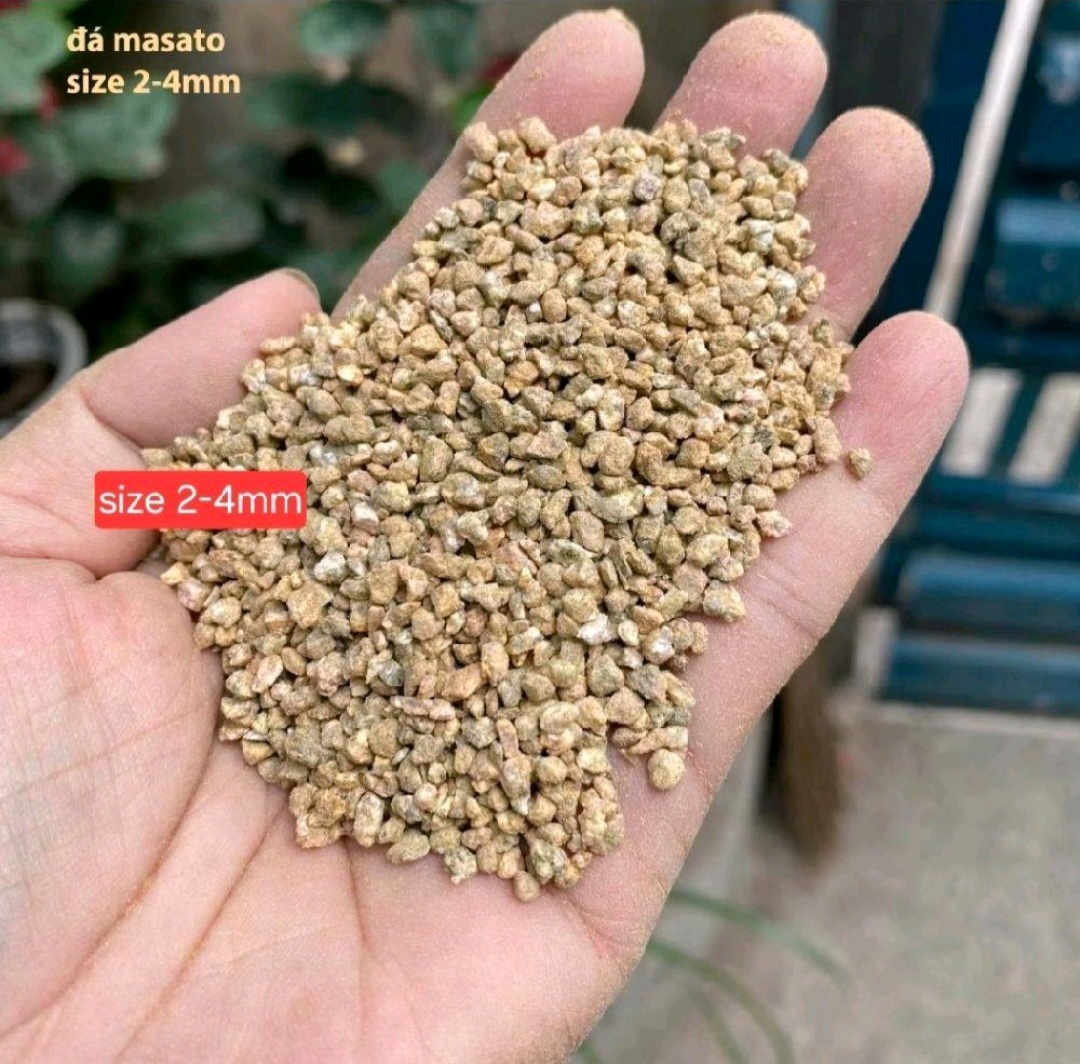 1000037964